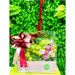 Hộp Đựng Hoa Quả, Đựng Trái Cây, Hộp Mica Đựng Quà Tặng Đẹp 6