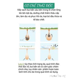 Detox Michi tẩy da chết da đầu 150ml Hàn Quốc 8
