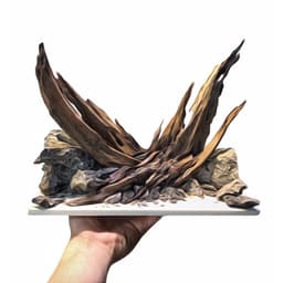 Layout Thuỷ Sinh Nature Ver.2 l Layout Dễ Chăm Trang Trí Cho Bể Thủy Sinh Đa Dạng Kích Thước | RF Aquarium 2