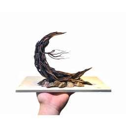 Layout Trăng | Bố Cục Gỗ Lũa Nghệ Thuật Trang Trí Bể Thuỷ Sinh Mini Cubic 20 | RF Aquarium 2