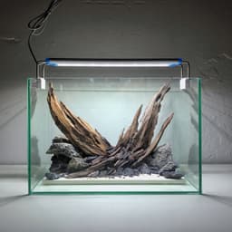 Layout Thuỷ Sinh Nature Ver.2 l Layout Dễ Chăm Trang Trí Cho Bể Thủy Sinh Đa Dạng Kích Thước | RF Aquarium 4