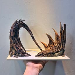 RF Aquarium | Layout Thuỷ Sinh Cổng Vòm Ver 5 Standard - Dáng Lũa Gai Góc Phá Cách Nhiều Kích Thước 3