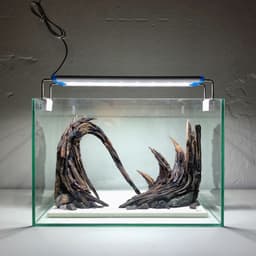 RF Aquarium | Layout Thuỷ Sinh Cổng Vòm Ver 5 Standard - Dáng Lũa Gai Góc Phá Cách Nhiều Kích Thước 4