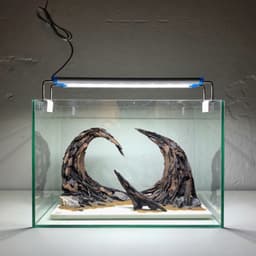 RF Aquarium | Layout Thuỷ Sinh Cổng Vòm Ver.4 l Layout Tiểu Cảnh Trang Trí Bể Thủy Sinh Nhiều Kích Thước 3