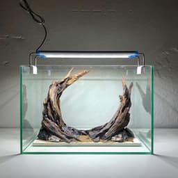 RF Aquarium l Layout Thuỷ Sinh Cổng Vòm Ver 1 - Lũa Tiểu Cảnh Nguyên Sơ Chế Tác Thủ Công 4