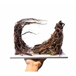 RF Aquarium | Layout Thuỷ Sinh Cổng Vòm Ver.6 l Layout Trang Trí Bể Thủy Sinh Đa Dạng Kích Thước 2