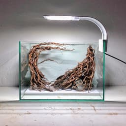 RF Aquarium | Layout Thuỷ Sinh Cổng Vòm Ver.6 l Layout Trang Trí Bể Thủy Sinh Đa Dạng Kích Thước 4