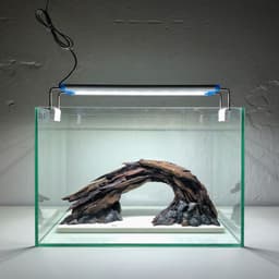 Layout Thuỷ Sinh Cầu Vồng Ver.1 l Layout Trang Trí Bể Thủy Sinh Đa Dạng Kích Thước | RF Aquarium 4