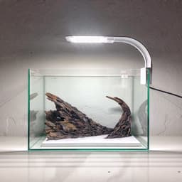 Layout Thuỷ Sinh Hẻm Núi Ver.4 | Nghệ Thuật Tái Tạo Lại Cảnh Quan Từ Gỗ Đá Cho Bể Thuỷ Sinh | RF Aquarium 4