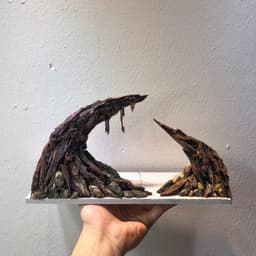RF Aquarium |Aquascape Cổng Vòm Ver 3 - Layout Thuỷ Sinh Dáng Vòm Trầm Lắng Chiều Sâu 3
