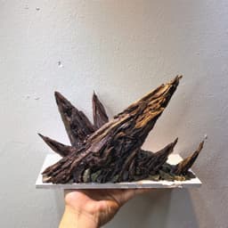 Layout Nature Ver.5 | Điểm Nhấn Nổi Bật Cho Bể Thuỷ Sinh Mini Trang Trí Bàn Làm Việc | RF Aquarium 3