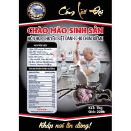 CÁM CHÀO MÀO SINH SẢN - LÃO ĐẠI 1