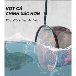 Mặt Vợt Đông Sơn 2