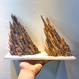Layout Nature Ver.9 | Chế Tác Thủ Công Trang Trí Bể Thuỷ Sinh Mini Để Bàn Làm Việc | RF Aquarium 3