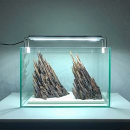 Layout Nature Ver.9 | Chế Tác Thủ Công Trang Trí Bể Thuỷ Sinh Mini Để Bàn Làm Việc | RF Aquarium 4