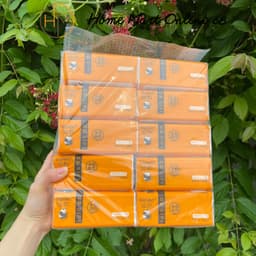 Túi 10 gói giấy gấu trúc Sipoao siêu dai 1