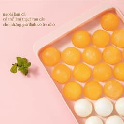 Combo 1 - 5 Khay Làm Đá 33 Viên Tròn, Khuôn Nhựa Làm Đá Bi Tròn, Làm Thạch Rau Câu 33 Ô 4