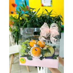 Khay túi đựng hoa quả trái cây từ 3kg 8