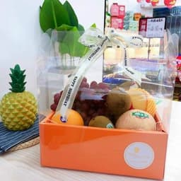 Khay túi đựng hoa quả trái cây từ 3kg 5