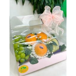 Khay túi đựng hoa quả trái cây từ 3kg 4