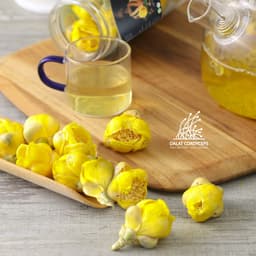 Trà hoa vàng sấy lạnh Dalat Cordyceps 2