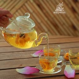 Trà hoa vàng sấy lạnh Dalat Cordyceps 5