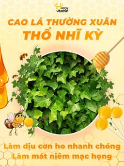 Kẹo mút ho keo ong lá thường xuân Happy Vitamin hỗ trợ ngăn ngừa ho, viêm họng, khản tiếng-  Hộp 12 Que 8