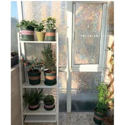 [MynHouse] Decal DÁN KÍNH, CỬA SỔ cầu vồng, cách nhiệt, chắn ánh sáng mặt trời và tia UV, có sẵn keo 2