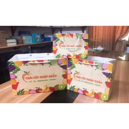 Combo Khay Túi Đựng Trái Cây - Túi Đựng Trái Cây Nhập Khẩu Loại: 1kg, 3kg, 5kg 6
