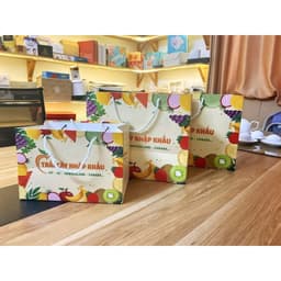 (Bộ KhayTúi) đựng hoa quả, trái cây nhập khẩu 1kg, 3kg, 5kg 3