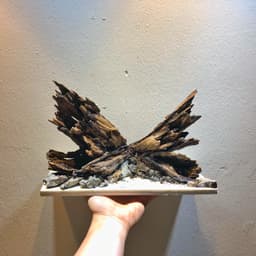 Layout Nature Ver.6 Dùng Trang Trí Bể Cá Thuỷ Sinh 30-40cm | RF Aquarium 4