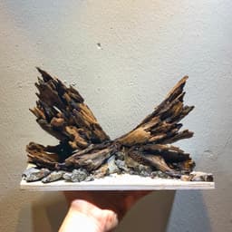 Layout Nature Ver.6 Dùng Trang Trí Bể Cá Thuỷ Sinh 30-40cm | RF Aquarium 3