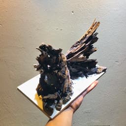 Layout Nature Ver.6 Dùng Trang Trí Bể Cá Thuỷ Sinh 30-40cm | RF Aquarium 5