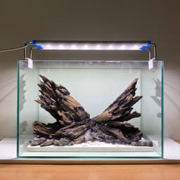 Layout Nature Ver.6 Dùng Trang Trí Bể Cá Thuỷ Sinh 30-40cm | RF Aquarium 7