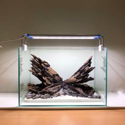 Layout Nature Ver.6 Dùng Trang Trí Bể Cá Thuỷ Sinh 30-40cm | RF Aquarium 6