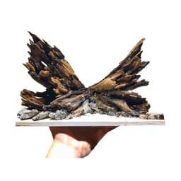 Layout Nature Ver.6 Dùng Trang Trí Bể Cá Thuỷ Sinh 30-40cm | RF Aquarium 2