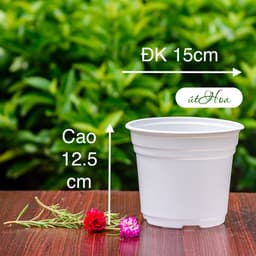 Chậu nhựa trồng hoa (kích thước 12,5x15cm) shop lấy màu ngẫu nhiên 2