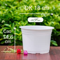 Chậu nhựa chuyên dụng trồng hoa (kích thước 18x14,6cm) shop lấy màu ngẫu nhiên 6