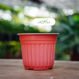 Chậu nhựa chuyên dụng trồng hoa (kích thước 18x14,6cm) shop lấy màu ngẫu nhiên 5
