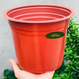 Chậu nhựa chuyên dụng trồng hoa (kích thước 18x14,6cm) shop lấy màu ngẫu nhiên 8
