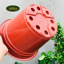 Chậu nhựa chuyên dụng trồng hoa (kích thước 18x14,6cm) shop lấy màu ngẫu nhiên 3