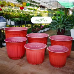 Chậu nhựa chuyên dụng trồng hoa (kích thước 18x14,6cm) shop lấy màu ngẫu nhiên 7