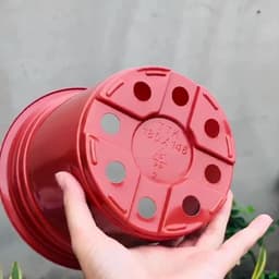 Chậu nhựa chuyên dụng trồng hoa (kích thước 18x14,6cm) shop lấy màu ngẫu nhiên 4