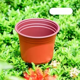 Chậu nhựa siêu bền cho hoa, cây, rau củ - Mua từ 5 chậu để đảm bảo không bị hư hại. 2