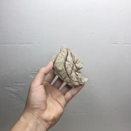 1kg Đá Da Voi Làm Layout Hồ Thủy Sinh Nhiều Kích Thước 7