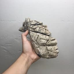 1kg Đá Da Voi Làm Layout Hồ Thủy Sinh Nhiều Kích Thước 8
