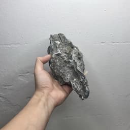 1kg Đá Tai Mèo Dùng Trang Trí Bể Cá, Setup Layout, Tiểu Cảnh Bể Thủy Sinh Nhiều Kích Thước 7