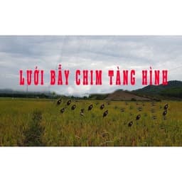 [ Giá Rẻ ] Lưới Chim Tàng Hình Cao 7m Mắt Lưới 5cm Dài Từ 10m-->50m 6