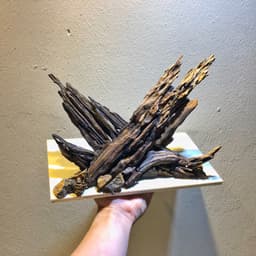 Layout Nature Ver.10 | Layout Thuỷ Sinh Nghệ Thuật Được Chế Tác Thủ Công Từ Gỗ Lũa Tự Nhiên | RF Aquarium 2