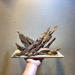 Layout Nature Ver.10 | Layout Thuỷ Sinh Nghệ Thuật Được Chế Tác Thủ Công Từ Gỗ Lũa Tự Nhiên | RF Aquarium 3